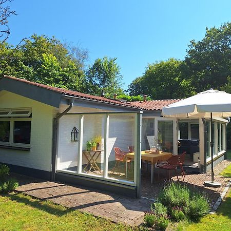 Vakantiehuis La Petite Redousse Renesse Exteriér fotografie
