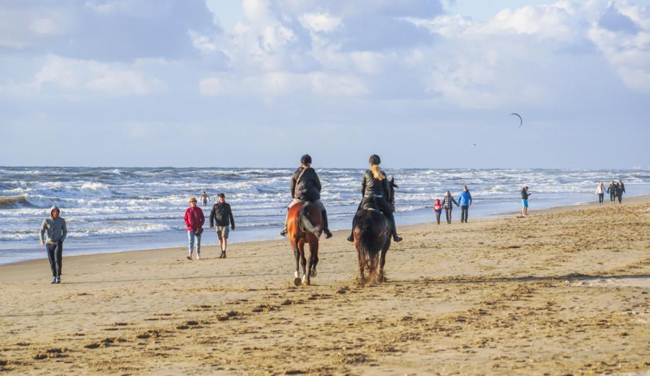 Vakantiehuis La Petite Redousse Renesse Exteriér fotografie